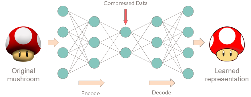 Mushroom Autoencoder